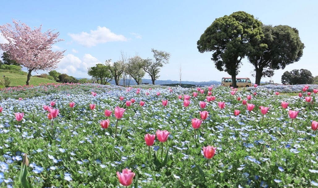 【ゴールデンウィーク2024】関東＆関西のおすすめGWイベント、グルメやお花見などお出かけ情報まとめ｜写真33