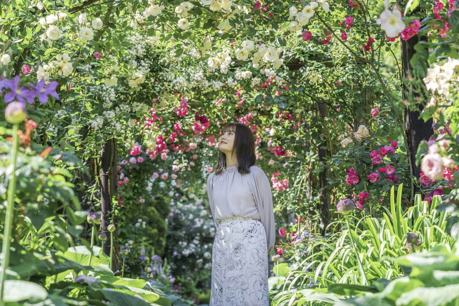 フラワーパーク(花庭園)｜熱海のローズガーデン「アカオ フォレスト」600種4,000株のバラが咲くローズフェスタ開催