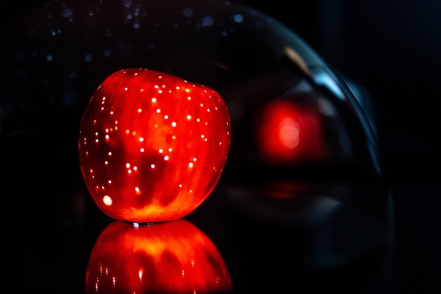 商業施設｜鈴木康広の展覧会が東京・二子玉川ライズで - 小さな発見を捉える“見立て”から生まれた作品約50点