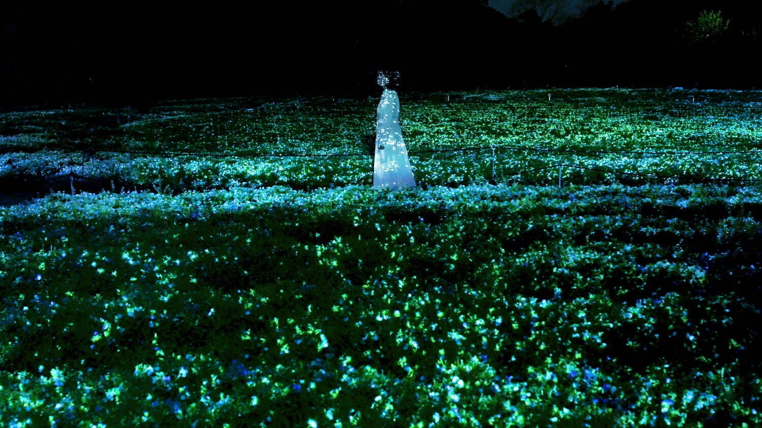 チームラボ《生命は闇に浮かぶまたたく光 - ネモフィラ》2023年
Interactive Digitized Nature, Sound: Hideaki Takahashi © teamLab, courtesy Pace Gallery