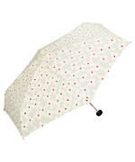 ダブリュピーシー(Wpc.) ペトラ｜写真4