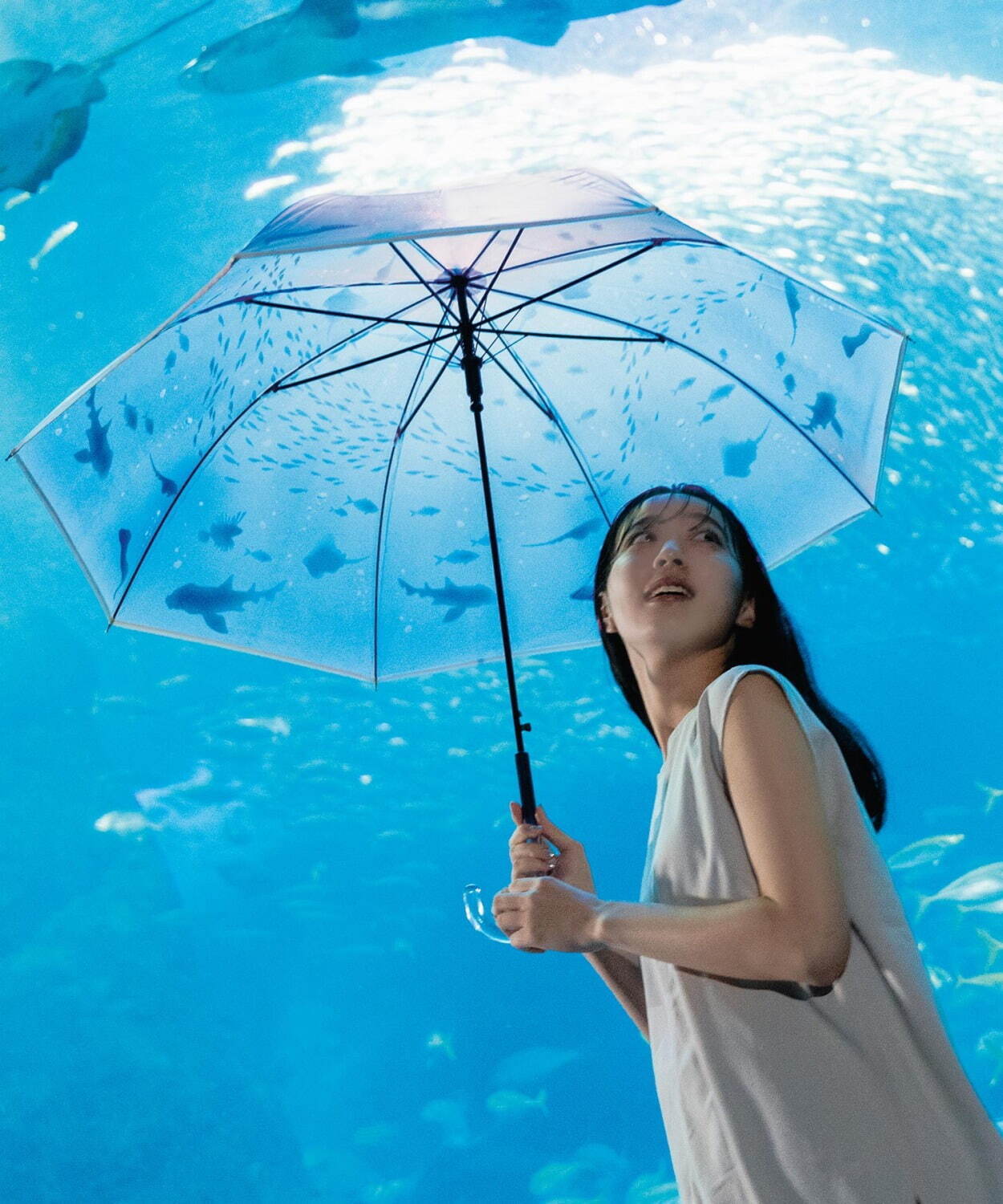 Wpc.×「新江ノ島水族館」のビニール傘が全国発売、“まるで水中