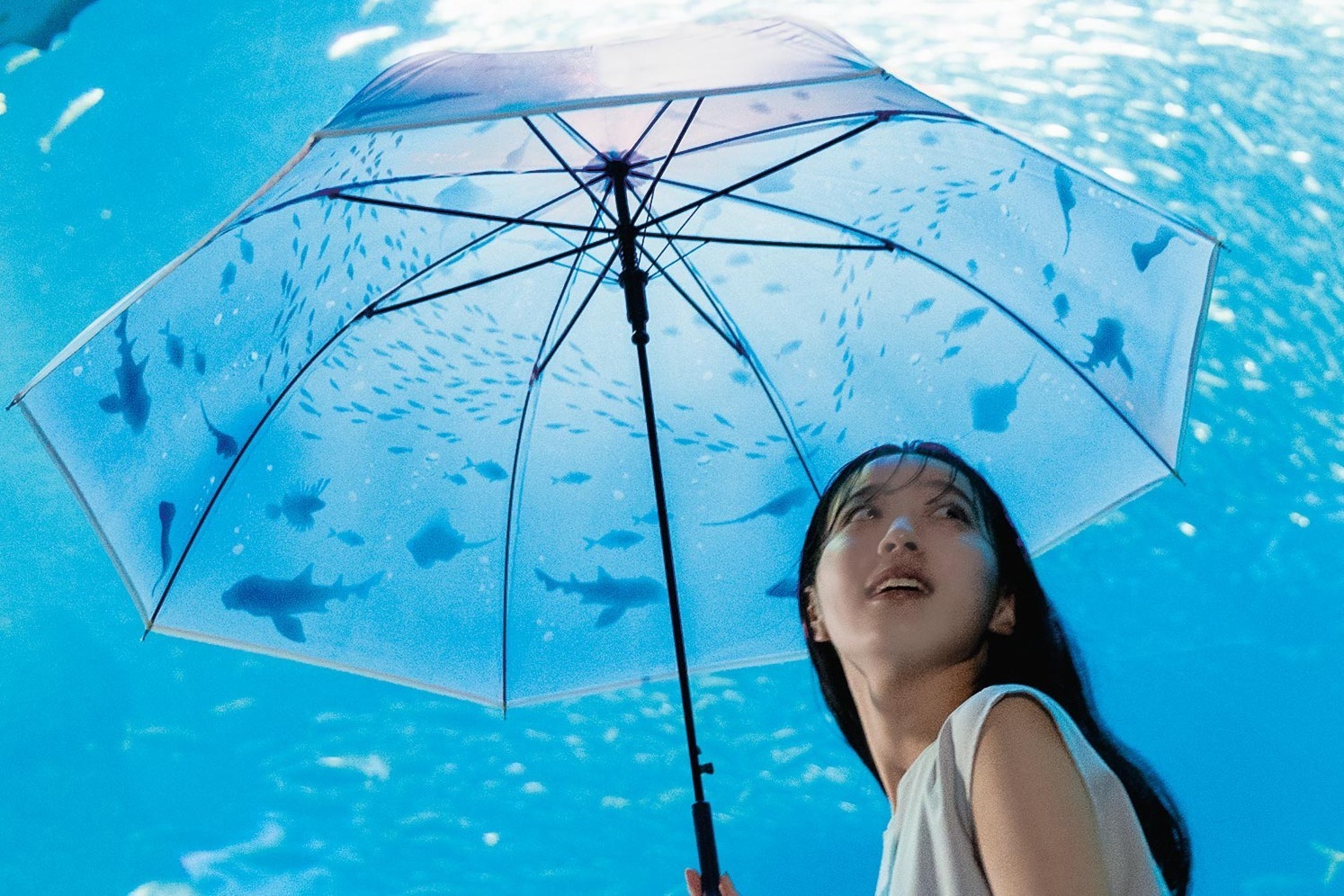 江の島｜ Wpc.×「新江ノ島水族館」のビニール傘が全国発売、“まるで水中”クラゲが浮かぶ長傘＆折りたたみ傘