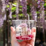 “東京一の藤の名所”亀戸天神「藤まつり」水面に映る50株以上の藤の花、船橋屋では限定くず餅も｜写真4