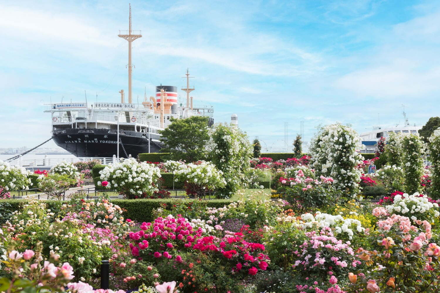 「横浜ローズウィーク」2,000品種以上のバラが横浜市内に登場、“バラ”着想の限定グルメも