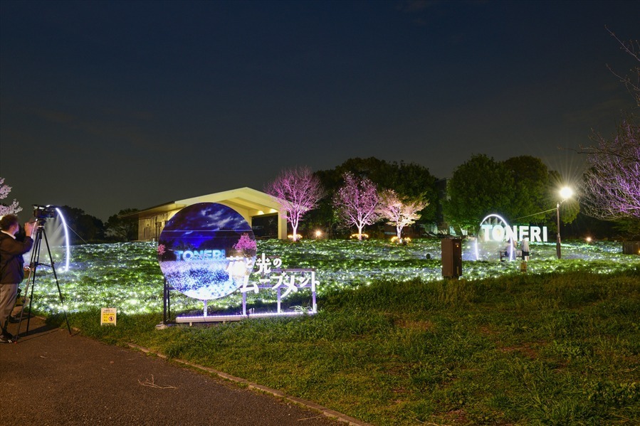 東京・舎人公園「花と光のムーブメント」流水を表現したライトアップ、一面ブルーのネモフィラ花壇も｜写真11