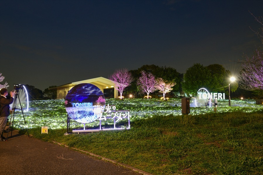 東京・舎人公園「花と光のムーブメント」流水を表現したライトアップ、一面ブルーのネモフィラ花壇も｜写真11