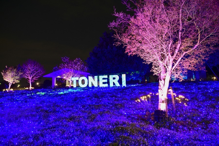 東京・舎人公園「花と光のムーブメント」流水を表現したライトアップ、一面ブルーのネモフィラ花壇も｜写真8