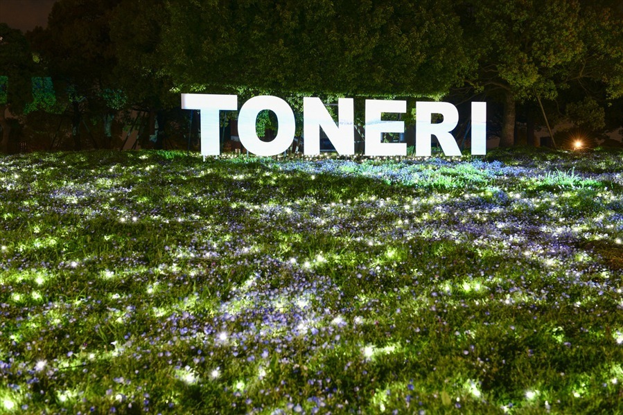 東京・舎人公園「花と光のムーブメント」流水を表現したライトアップ、一面ブルーのネモフィラ花壇も｜写真7