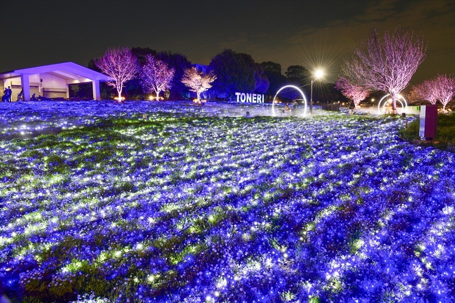 東京・舎人公園「花と光のムーブメント」流水を表現したライトアップ、一面ブルーのネモフィラ花壇も｜写真5