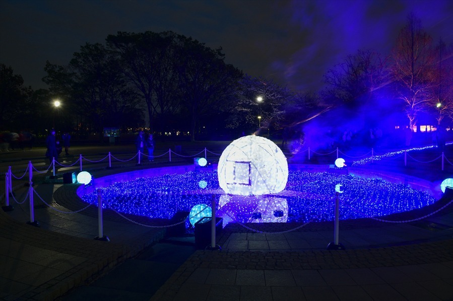 東京・舎人公園「花と光のムーブメント」流水を表現したライトアップ、一面ブルーのネモフィラ花壇も｜写真10
