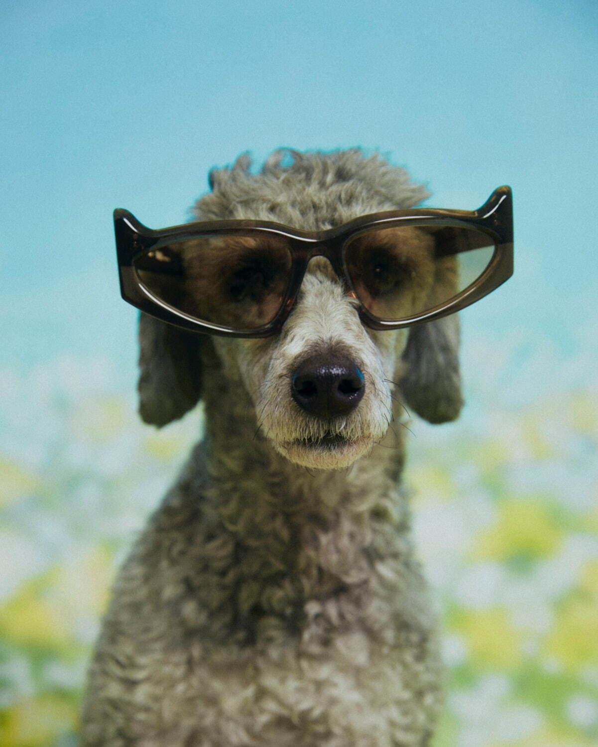 パメオポーズ×イナリのサングラス“子犬の様な立ち耳”フォルムのクリアフレーム｜写真9
