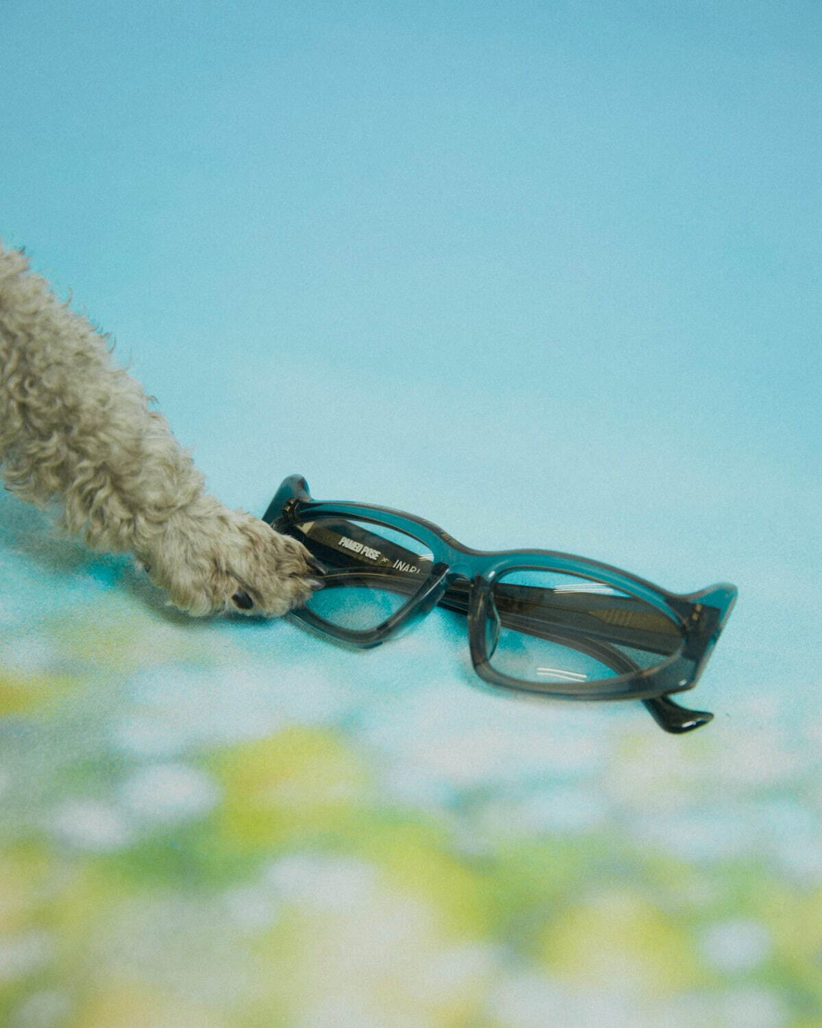 パメオポーズ×イナリのサングラス“子犬の様な立ち耳”フォルムのクリアフレーム｜写真11