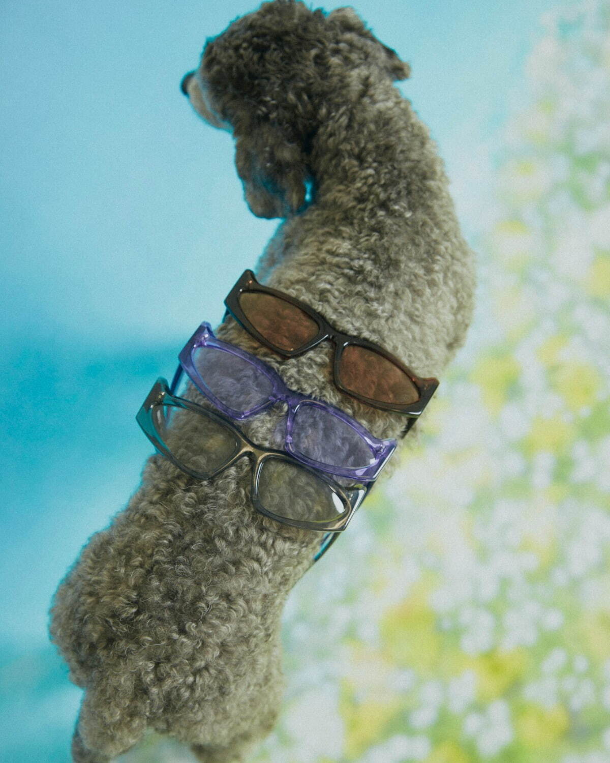 パメオポーズ×イナリのサングラス“子犬の様な立ち耳”フォルムのクリアフレーム｜写真10