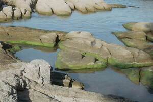 アモーメント(AMOMENTO) 2024年春夏ウィメンズコレクション  - 写真13