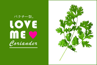 「パクチー祭。」