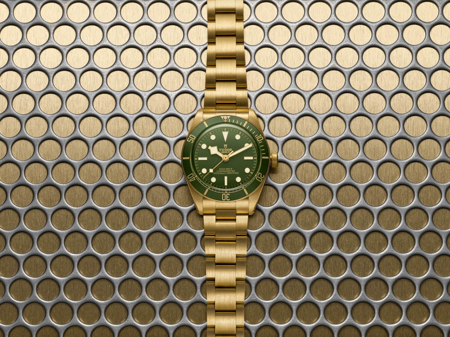 チューダー(TUDOR) ブラックベイ 58 18K｜写真5