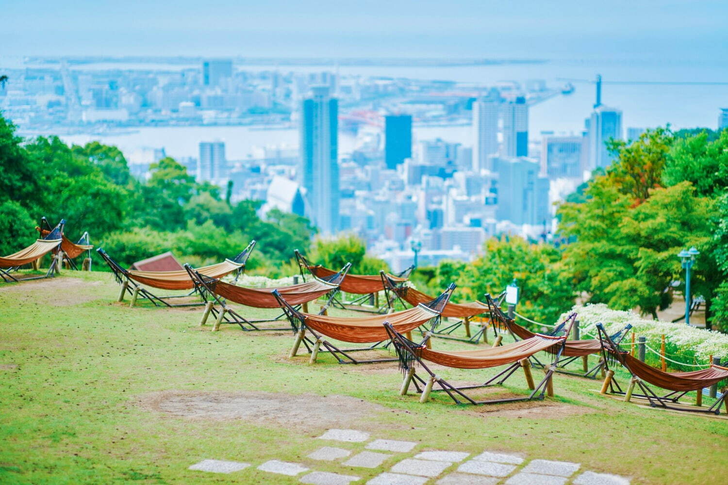 「神戸布引ハーブ園」チューリップやネモフィラが咲き誇る春夏イベント、ローズ＆ラベンダーも見頃に｜写真15