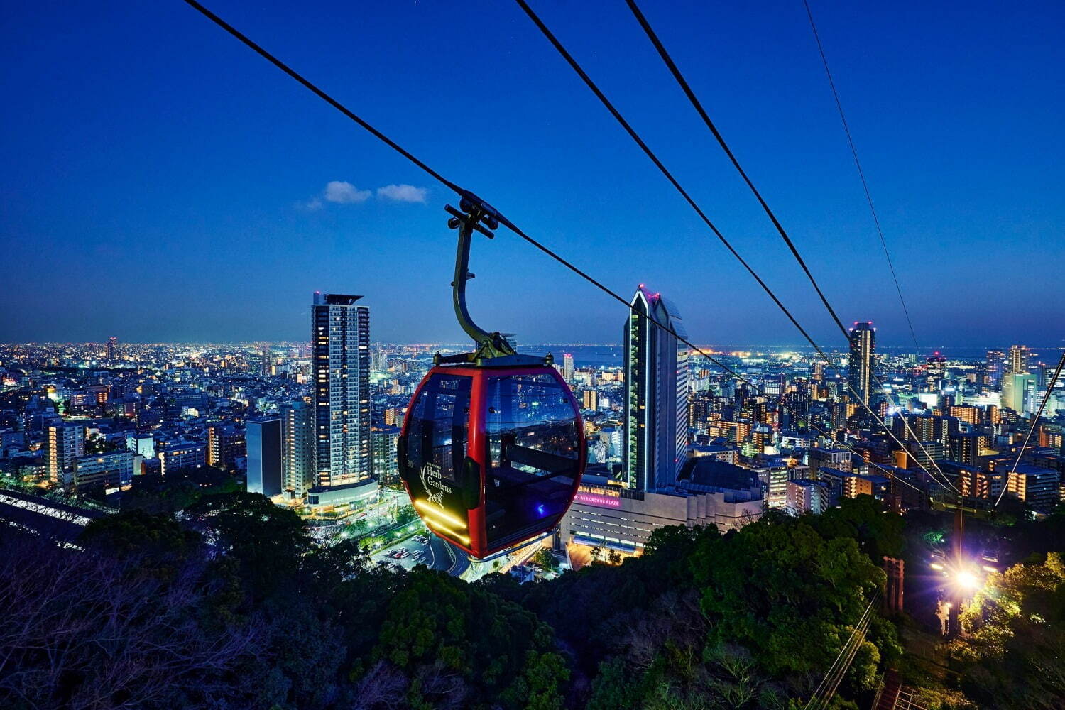 「神戸布引ハーブ園」チューリップやネモフィラが咲き誇る春夏イベント、ローズ＆ラベンダーも見頃に｜写真1