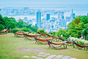 「神戸布引ハーブ園」チューリップやネモフィラが咲き誇る春夏イベント、ローズ＆ラベンダーも見頃に｜写真15