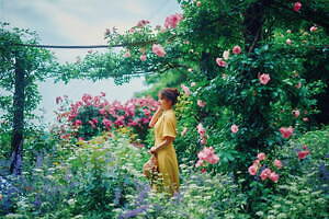 「神戸布引ハーブ園」チューリップやネモフィラが咲き誇る春夏イベント、ローズ＆ラベンダーも見頃に｜写真21