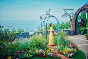 「神戸布引ハーブ園」チューリップやネモフィラが咲き誇る春夏イベント、ローズ＆ラベンダーも見頃に｜写真2