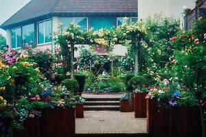 「神戸布引ハーブ園」チューリップやネモフィラが咲き誇る春夏イベント、ローズ＆ラベンダーも見頃に｜写真23