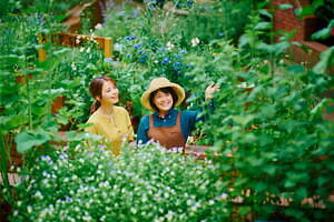 「神戸布引ハーブ園」チューリップやネモフィラが咲き誇る春夏イベント、ローズ＆ラベンダーも見頃に｜写真32