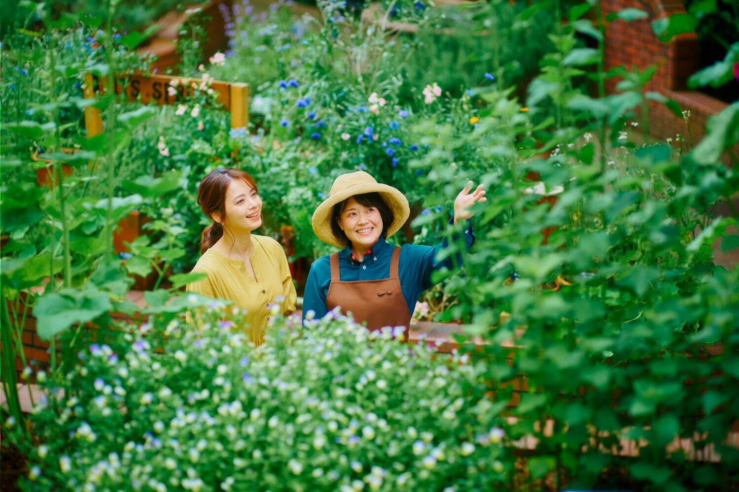 「神戸布引ハーブ園」チューリップやネモフィラが咲き誇る春夏イベント、ローズ＆ラベンダーも見頃に｜写真14