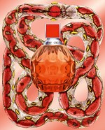 ジミー チュウ(JIMMY CHOO) エキゾチック｜写真2