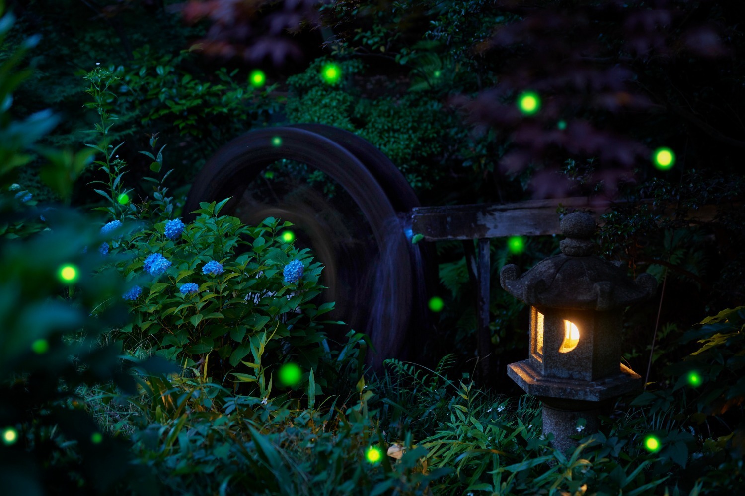 ホテル椿山荘東京「ほたるの夕べ」初夏の蛍が舞うイベント、“霧”の庭園演出「東京雲海」も