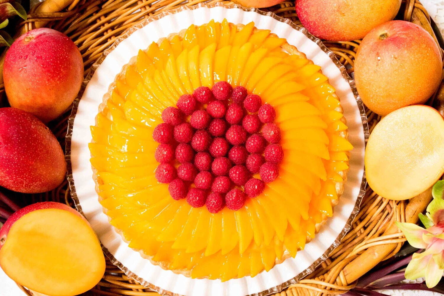 フルーツタルト｜キル フェ ボンからマンゴーが主役の限定タルト、宮崎産の特選マンゴーや塩キャラメル