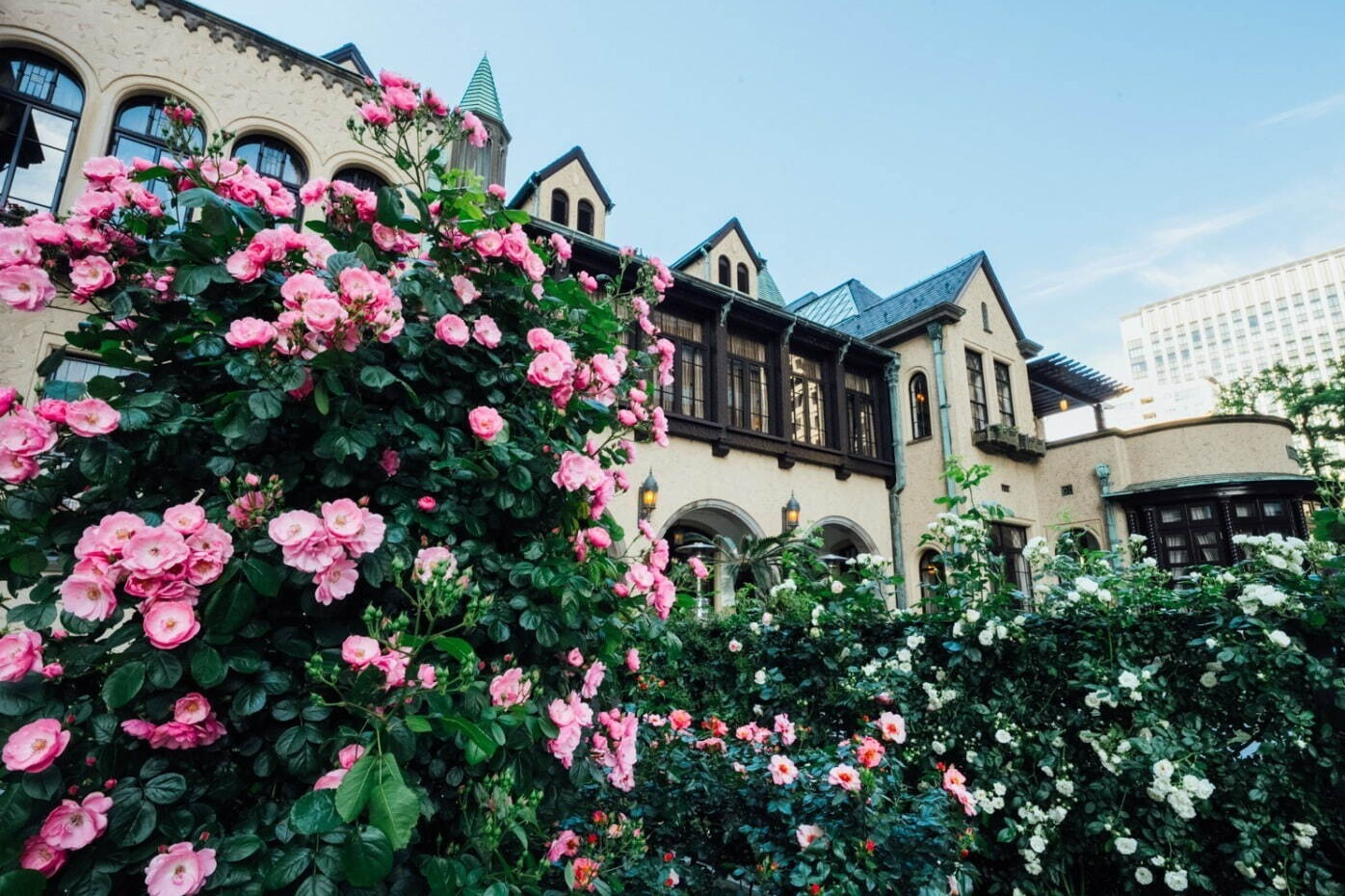 庭園｜東京ガーデンテラス紀尾井町「ローズ」の限定イベント、“バラ色”スイーツ＆約90品種のバラが咲く庭園