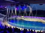 京都水族館「夜のすいぞくかん」幻想的な照明で演出、夜にしか見られないペンギンやオットセイの寝顔も｜写真2