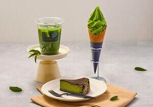 「三井アウトレットパーク 岡崎」愛知県初の本格的アウトレットモール、“市場”のような公園型施設も｜写真37