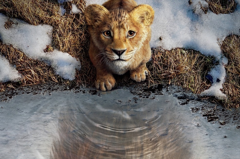 大作映画｜映画『ライオン・キング：ムファサ』シンバの父・ムファサ王の“始まりの物語”日本公開決定