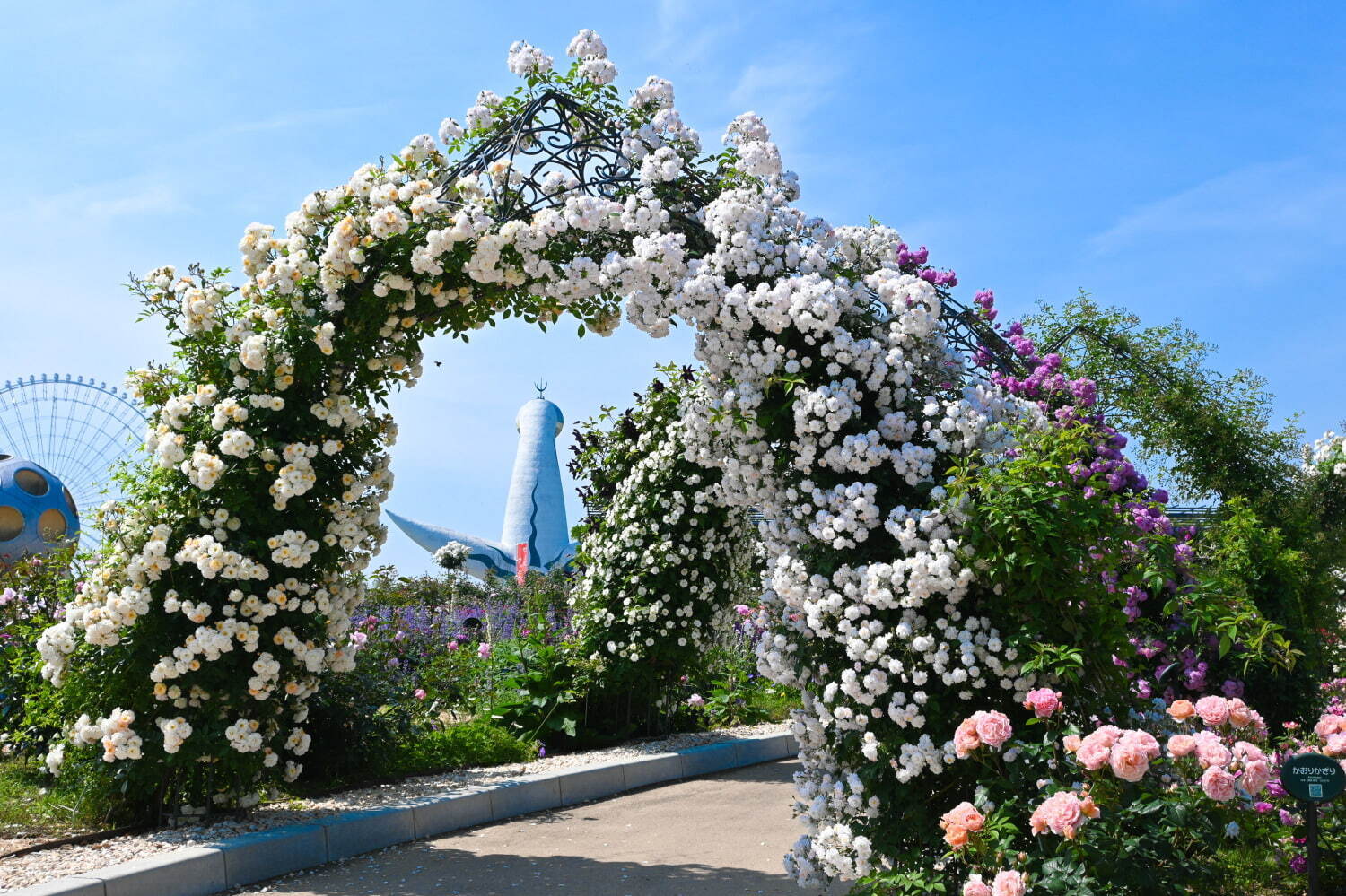 ※画像は過去のローズフェスタの様子
写真提供：万博記念公園マネジメント・パートナーズ