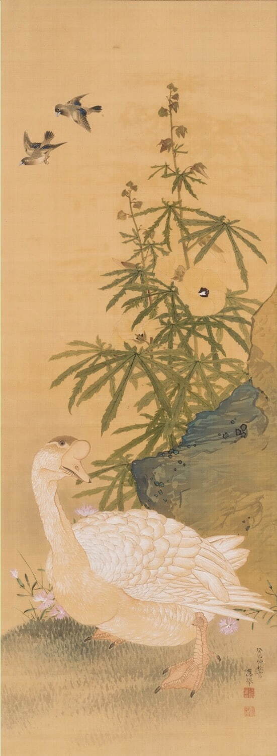 円山応挙 《黄蜀葵鵞鳥小禽図》 安永2年(1773年) 福田美術館蔵 ［通期展示］