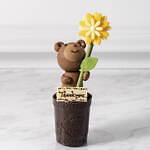 アトリエ ドゥ ゴディバ24年夏、マンゴーのせ贅沢チョコレートのマカロンや“カフェラテ風”タルト｜写真5