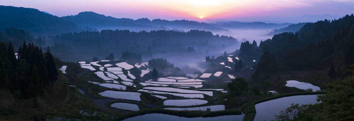 今森光彦 《朝霧の棚田》 新潟県十日町市 2010年 作家蔵
