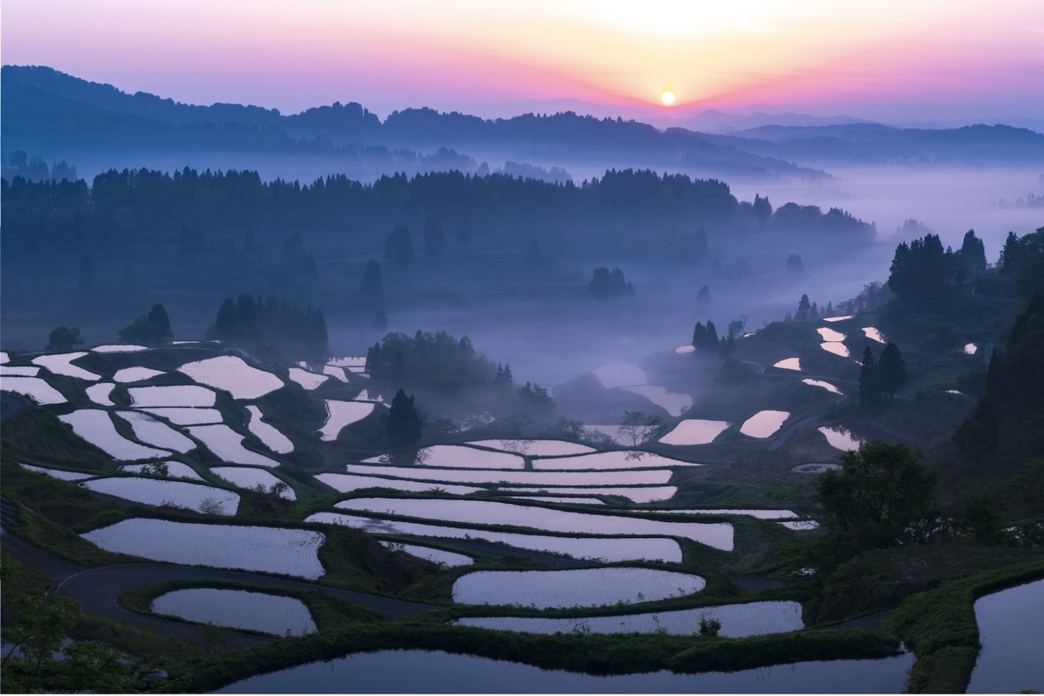 展覧会「今森光彦 にっぽんの里山」東京都写真美術館で - 全国の“里山”を捉えた写真・映像約190点