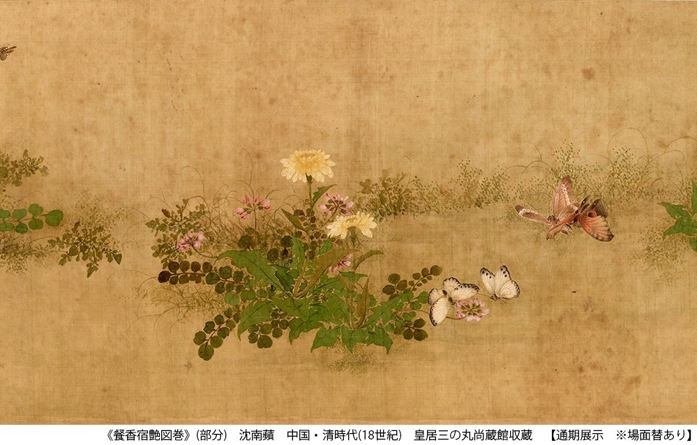 展覧会「いきもの賞玩」皇居三の丸尚蔵館で、美術・工芸の“生き物”国宝・伊藤若冲《動植綵絵》など公開｜写真3