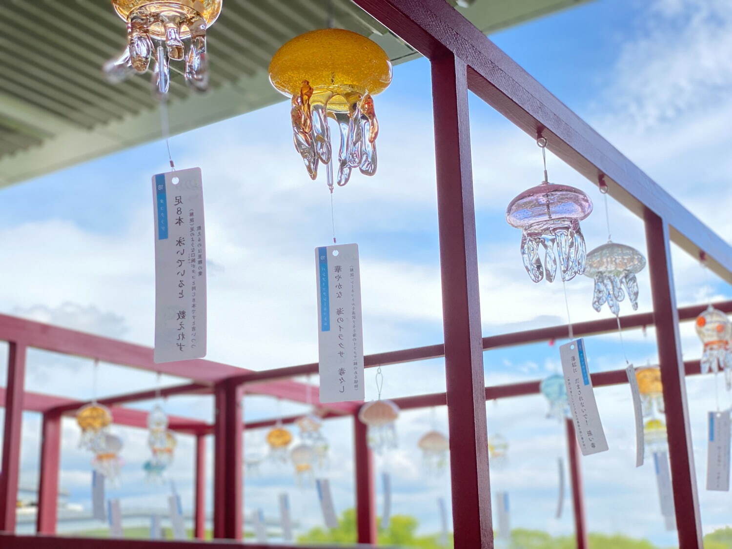 京都水族館の夏イベント「くらげと傘と風鈴と」涼し気な“クラゲ