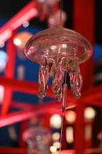 京都水族館の夏イベント「くらげと傘と風鈴と」涼し気な“クラゲ風鈴”展示、初登場の“クラゲ京和傘”も｜写真12