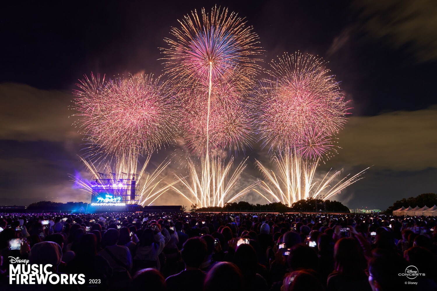 全国の花火大会＜2024年夏＞日時・会場・チケットなど全国の有名花火大会開催情報まとめ｜写真25