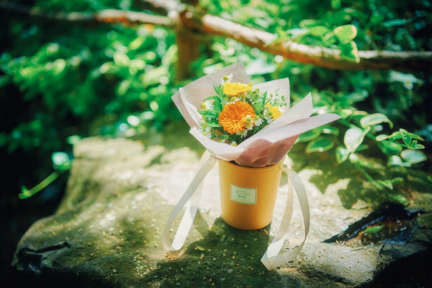 「神戸布引ハーブ園」摘みたてのカモミールやポットマリーゴールドでブーケ作り、園内に咲くハーブも見頃に｜写真5