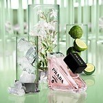 「2024年秋フレグランス特集」“金木犀の香り”など秋の新作＆限定香水、人気デパコス・プチプラから｜写真6