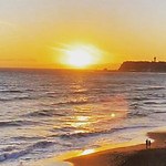 オムライス専門店「エスプレッソ ディーワークス イエロー」湘南エリア初出店、特濃卵のふわとろオムライス｜写真5