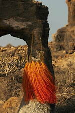 ラバンヌ(rabanne) 1969｜写真1