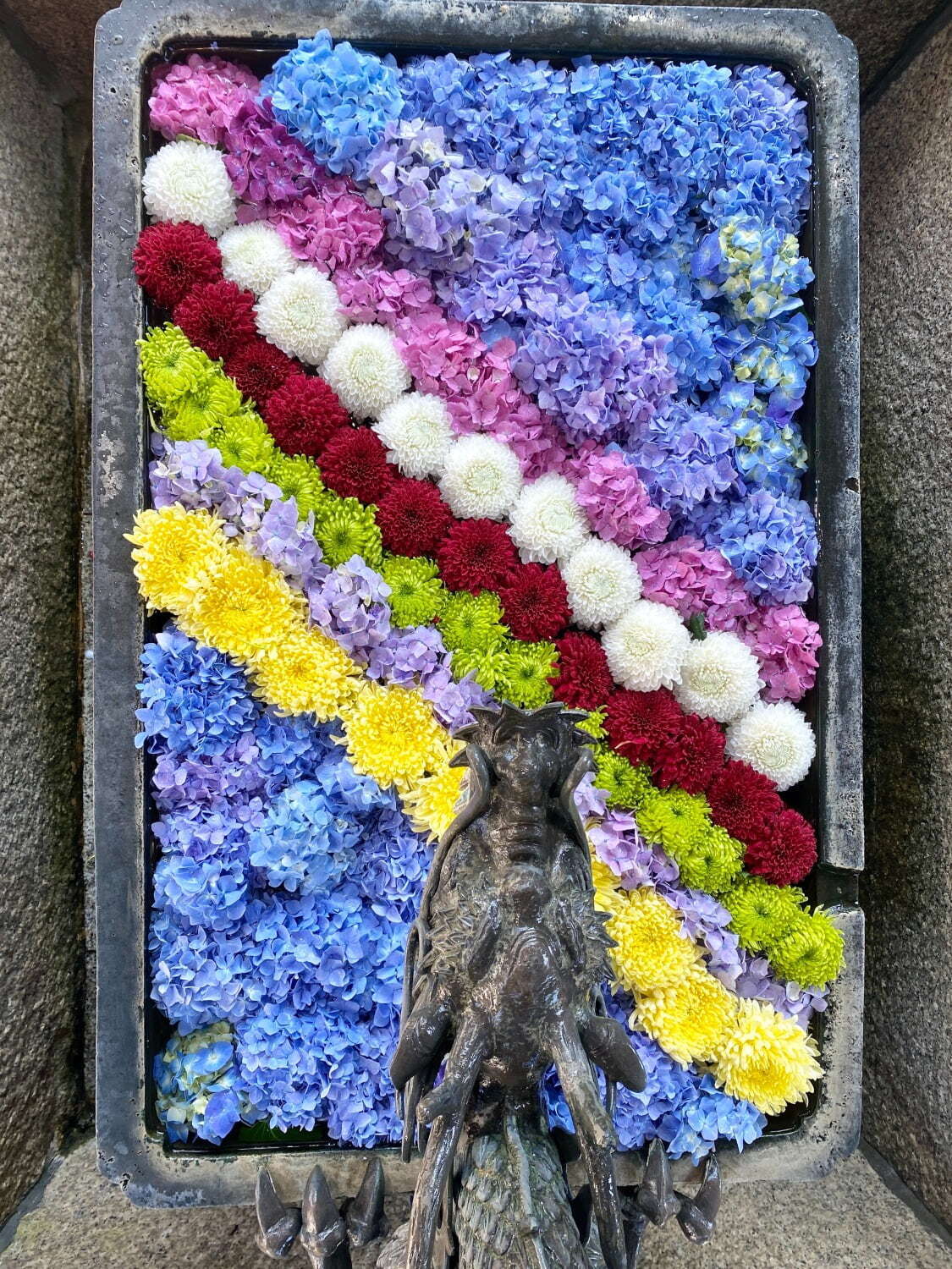 「あじさいウイーク」京都・柳谷観音 楊谷寺に約5,000株のあじさい、カラフル“花手水”も｜写真1